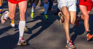 Bild von Th G auf Pixabay