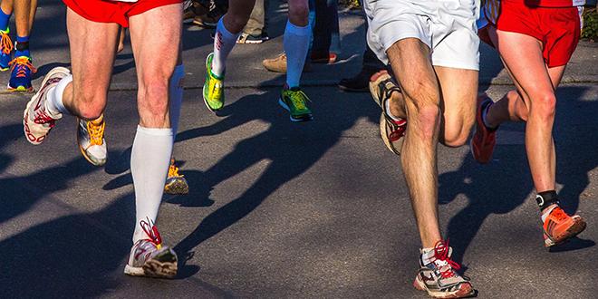 Bild von Th G auf Pixabay